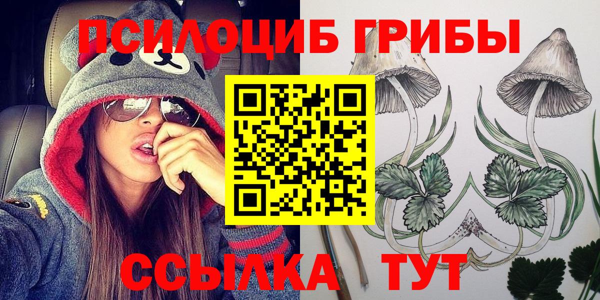 Галлюциногенные грибы мухоморы  где купить   Вход с VPN  Тавда  Псилоцибиновые грибы прущие грибы 