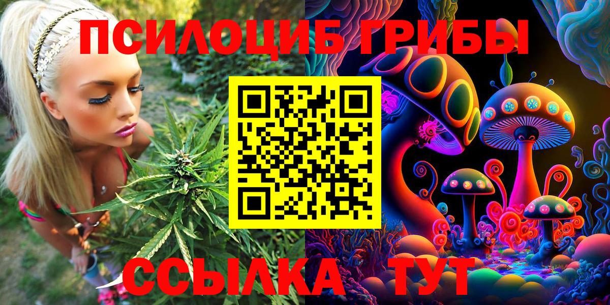 Галлюциногенные грибы мухоморы Тавда
