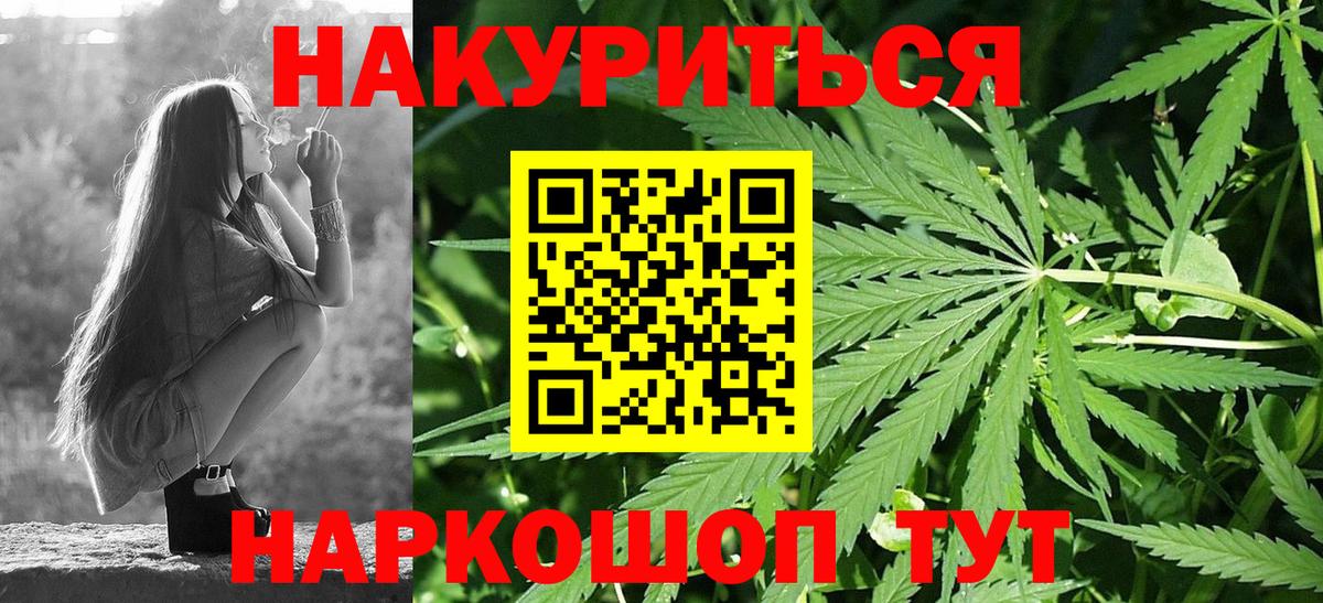 Бошки Шишки Ganja  МАРИХУАНА сатива  Вход с VPN  Тавда  Конопля план 